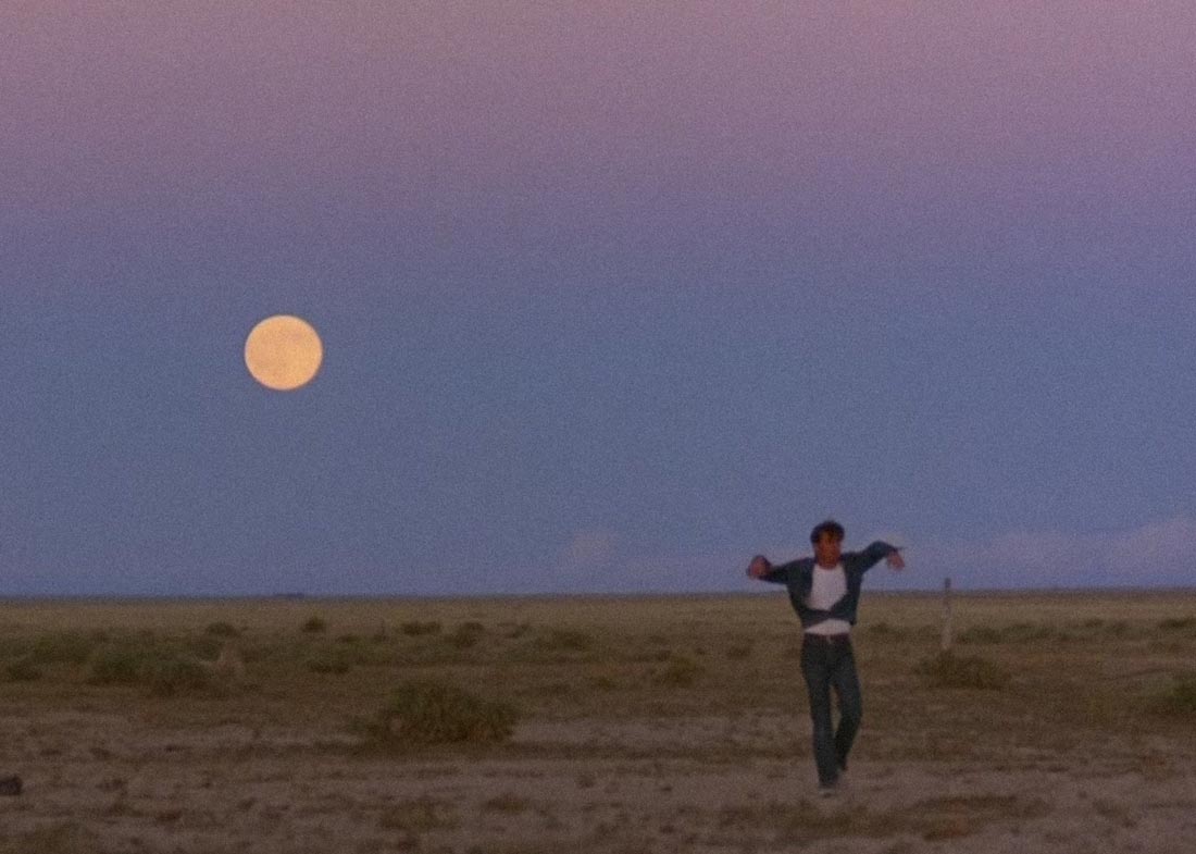 Badlands, Terrence Malick (1975)