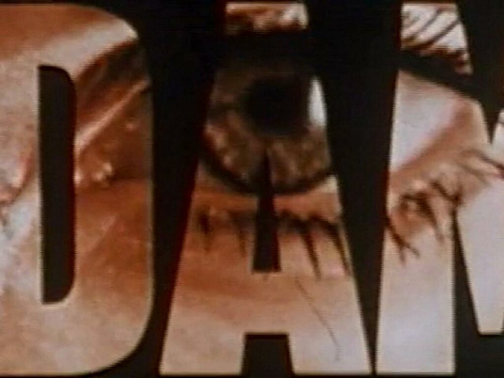 Dim Dam Dom, émission de télévision (1966-1969)
