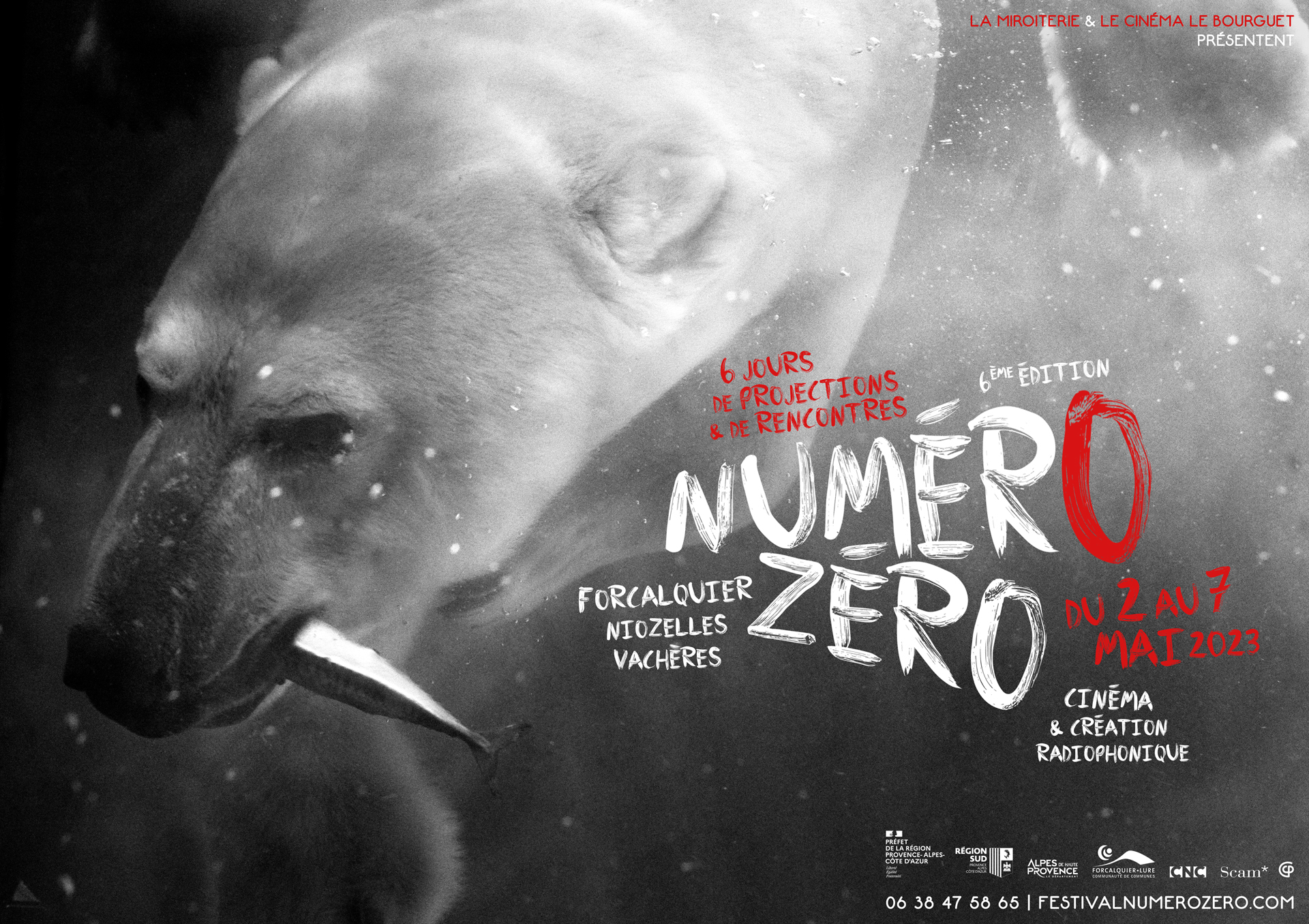 FESTIVAL NUMERO ZERO