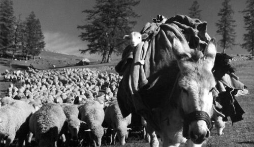 CANNES CINÉMA I RDV DU PÔLE I AUTOUR DE LA PHOTOGRAPHIE