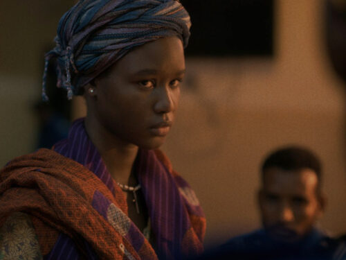 FESTIVAL DES CINÉMAS D'AFRIQUE DU PAYS D'APT