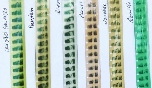 LABO L'ARGENT I ATELIER HACKER KODACK